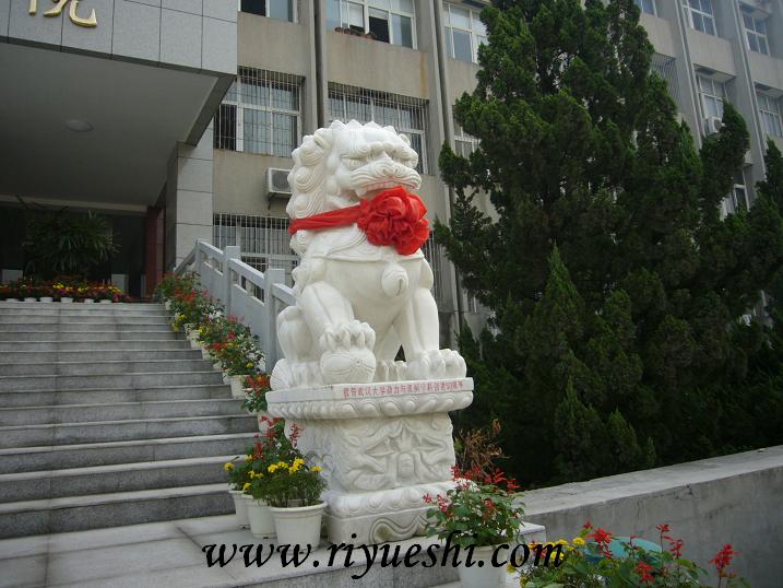 武漢漢白玉獅子