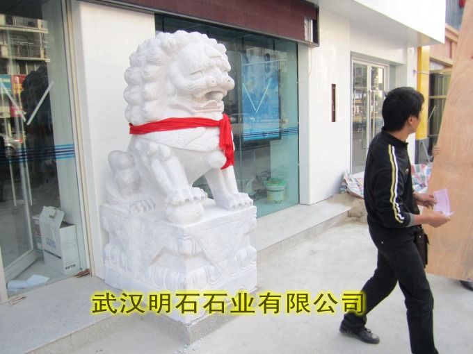 ���ʯ�{��