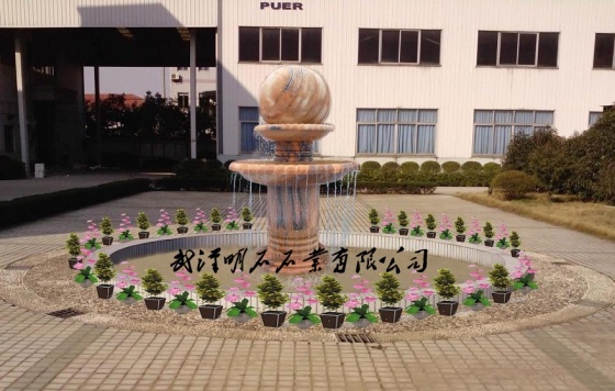 嘉興風(fēng)水球