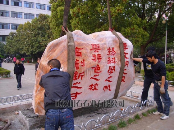 �S�ݿ���ʯ