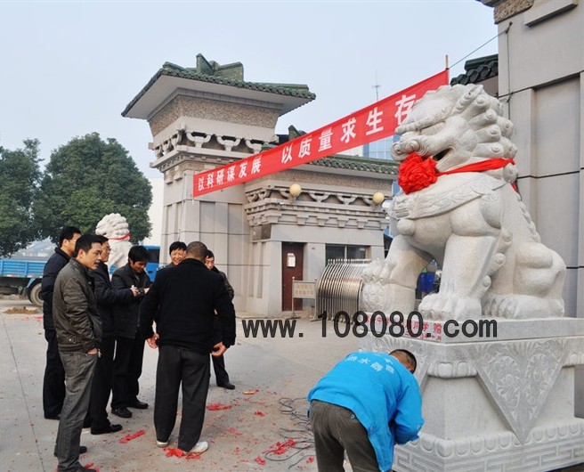 ���ʯ�{��