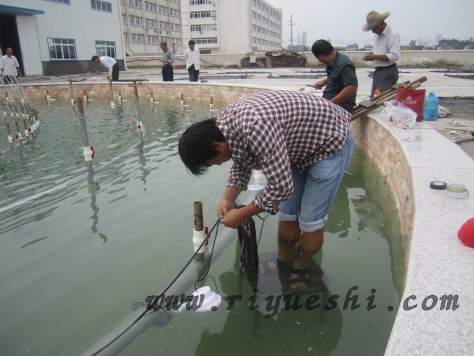 枝江風(fēng)水球